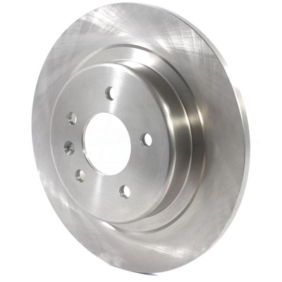 Rear Disc Brake Rotor