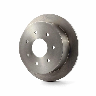 Rear Disc Brake Rotor