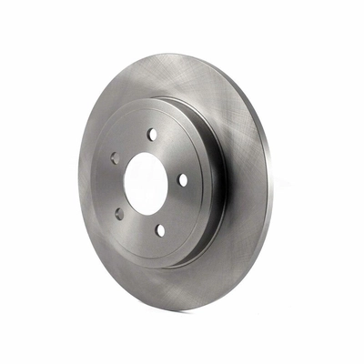 Rear Disc Brake Rotor
