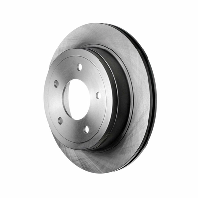 Rear Disc Brake Rotor