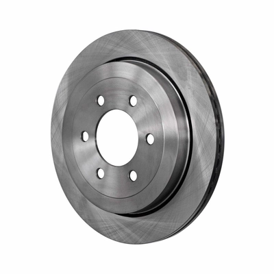 Rear Disc Brake Rotor