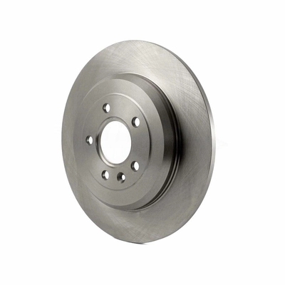 Rear Disc Brake Rotor