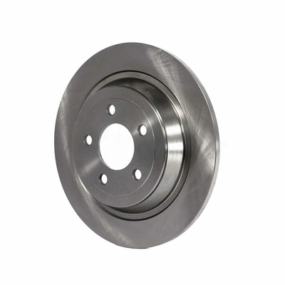 Rear Disc Brake Rotor