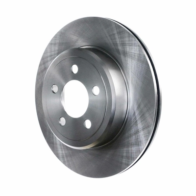 Rear Disc Brake Rotor