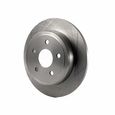 Rear Disc Brake Rotor