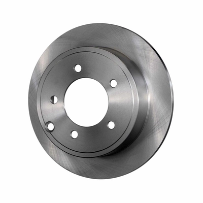 Rear Disc Brake Rotor