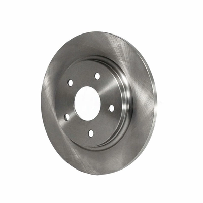 Rear Disc Brake Rotor