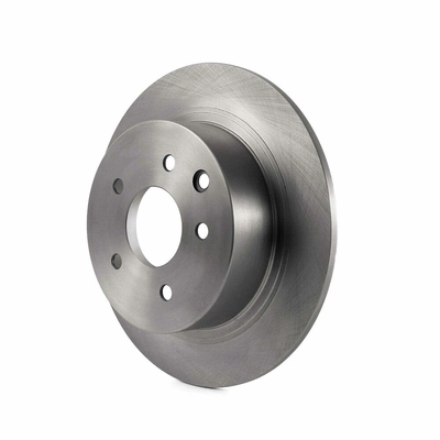 Rear Disc Brake Rotor