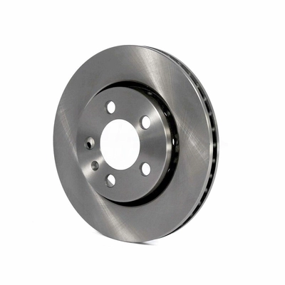 Rear Disc Brake Rotor