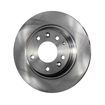 Rear Disc Brake Rotor