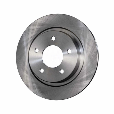 Rear Disc Brake Rotor