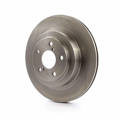 Rear Disc Brake Rotor