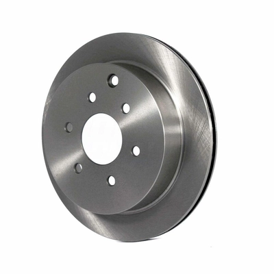 Rear Disc Brake Rotor
