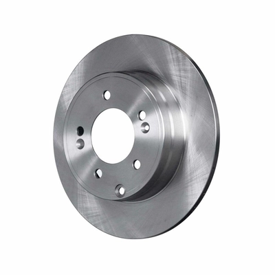 Rear Disc Brake Rotor