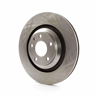 Rear Disc Brake Rotor
