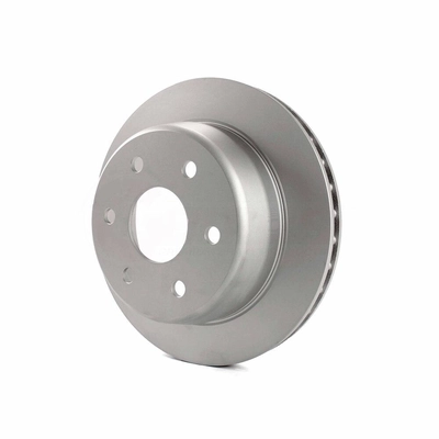 Rear Disc Brake Rotor