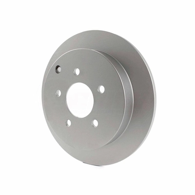Rear Disc Brake Rotor