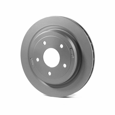 Rear Disc Brake Rotor