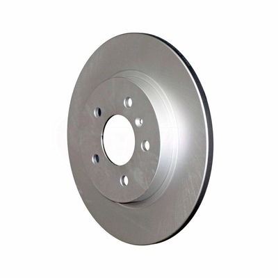 Rear Disc Brake Rotor