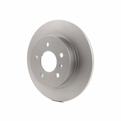 Rear Disc Brake Rotor