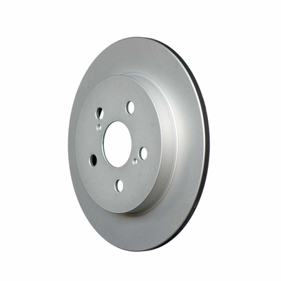 Rear Disc Brake Rotor