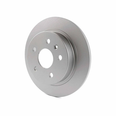 Rear Disc Brake Rotor
