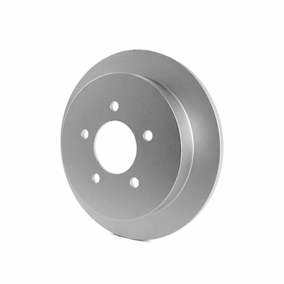 Rear Disc Brake Rotor