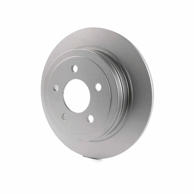 Rear Disc Brake Rotor