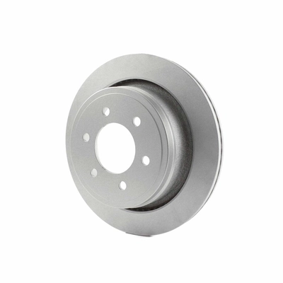 Rear Disc Brake Rotor