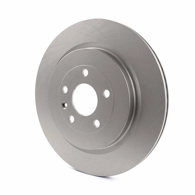 Rear Disc Brake Rotor