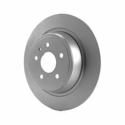Rear Disc Brake Rotor