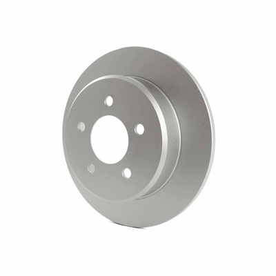 Rear Disc Brake Rotor