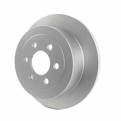 Rear Disc Brake Rotor