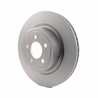 Rear Disc Brake Rotor