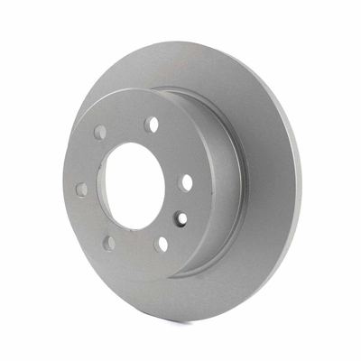 Rear Disc Brake Rotor