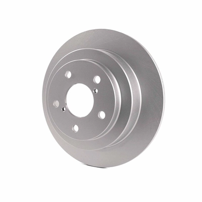 Rear Disc Brake Rotor