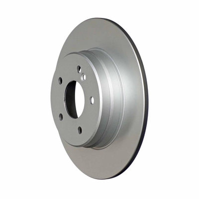 Rear Disc Brake Rotor