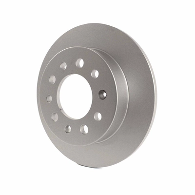 Rear Disc Brake Rotor