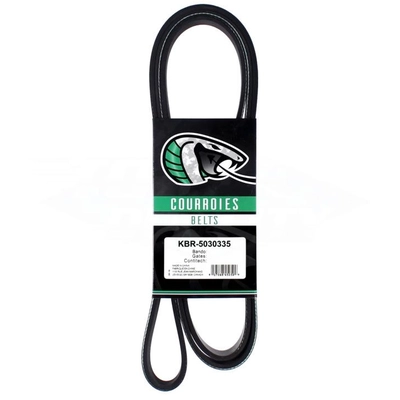 Serpentine Belt