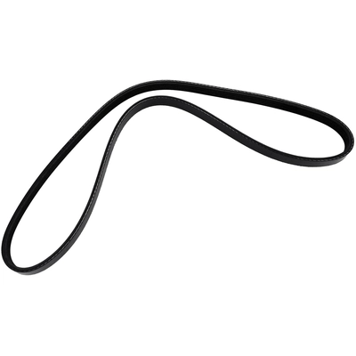 TRANSIT WAREHOUSE - KBR-5040350 - Serpentine Belt