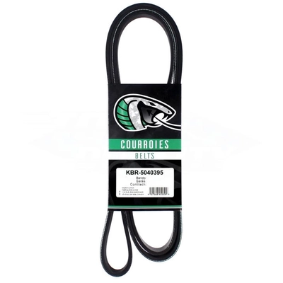 Serpentine Belt