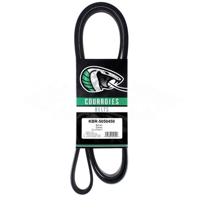 Serpentine Belt