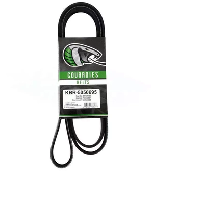 Serpentine Belt