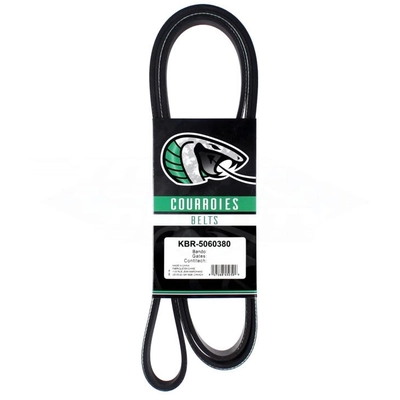 Serpentine Belt