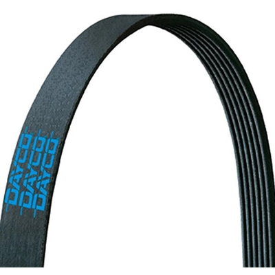 TRANSIT WAREHOUSE - KBR-5060388 - Serpentine Belt