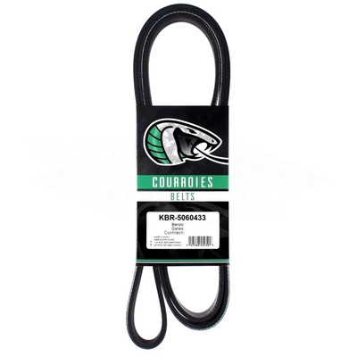 Serpentine Belt