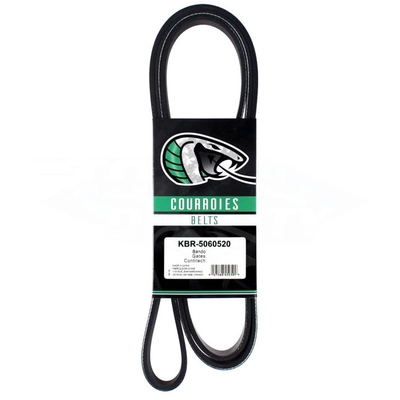 Serpentine Belt