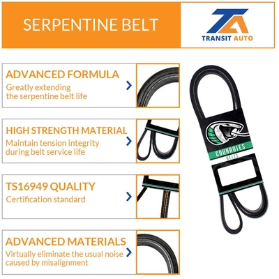 TRANSIT WAREHOUSE - KBR-5060695 - Serpentine Belt