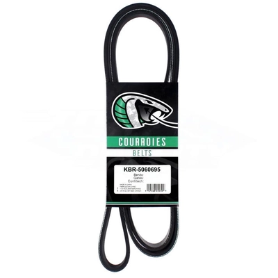 Serpentine Belt