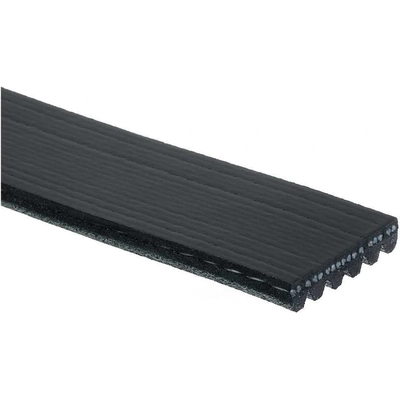TRANSIT WAREHOUSE - KBR-5060960 - Serpentine Belt